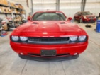 Dodge Challenger, SXT 3.6, kupé, benzin