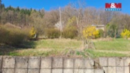 Prodej chaty, 50 m², Radějov