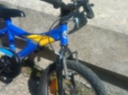 Cross Rider Leader Fox 16